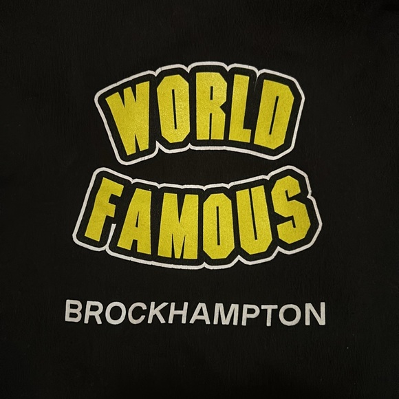 Brockhampton Matt Champion World Famous Iridescence hoodie - Picture 3 of 5